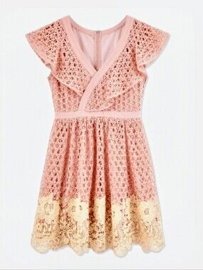 Donna Morgan Blush Pink Lace Dress with Cream Floral Hem